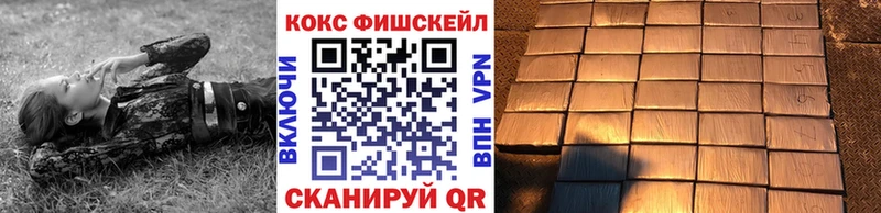 купить закладку  Ленинградская  COCAIN Эквадор 