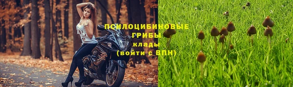 спиды Алексин
